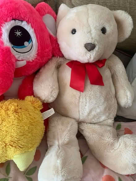 Photo of free Selection of large soft toys (Thorpe Marriot NR8) #4