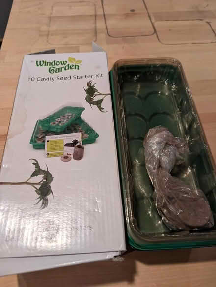Photo of free planting kit (capitol hill) #1
