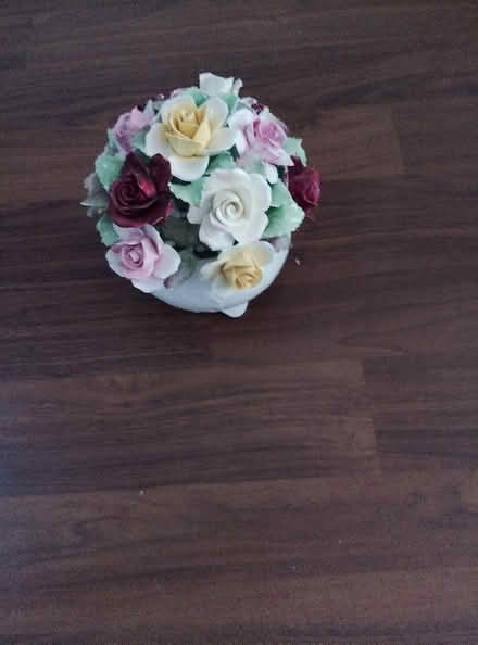 Photo of free China rose bowl (Harnage SY5) #1