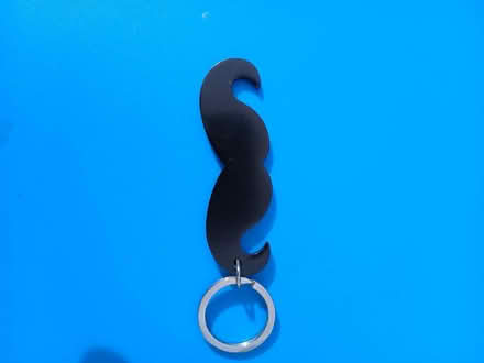Photo of free keyring (Langney BN23) #1