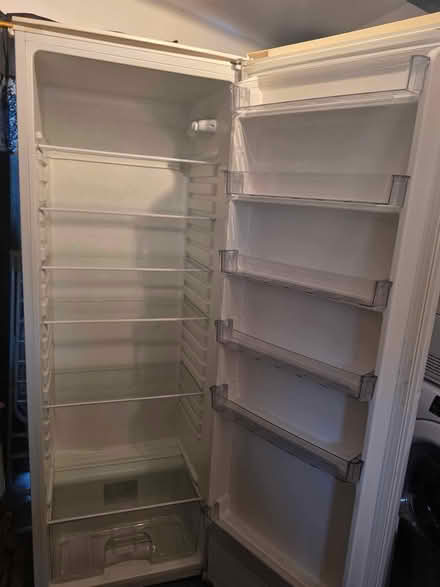 Photo of free Tall fridge (Pittville GL50) #2