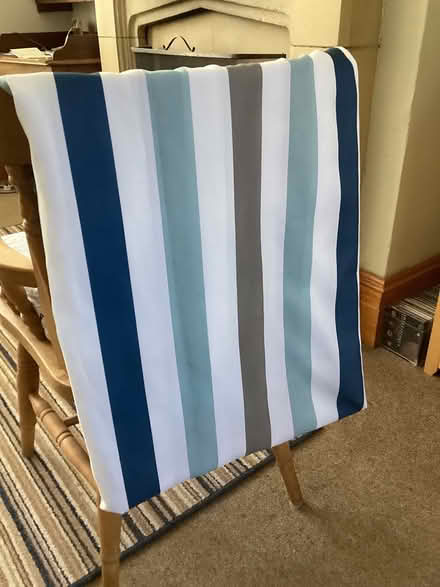 Photo of free Shower Curtain with Rings (Brockley, Lewisham SE4) #1