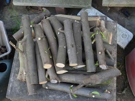 Photo of free Cut Timber for Wood Burner (Hollingthorpe WF4) #1