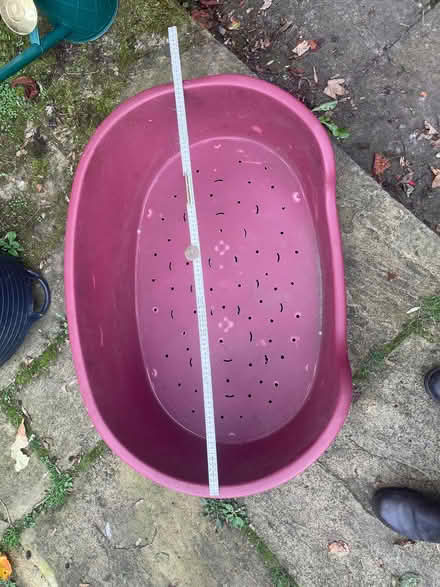 Photo of free Plastic dog bed (Monyash DE45) #2