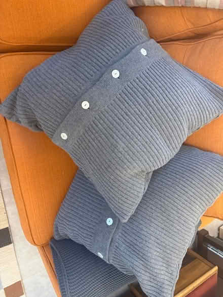 Photo of free Large grey cushions x2 (Craigmillar Park EH16) #2