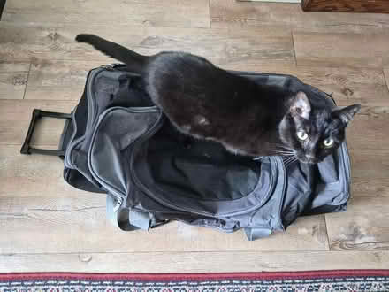 Photo of free Suitcase (St.Louis Park) #1