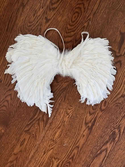Photo of free White feather wings (Fresh Pond - Belmont) #1