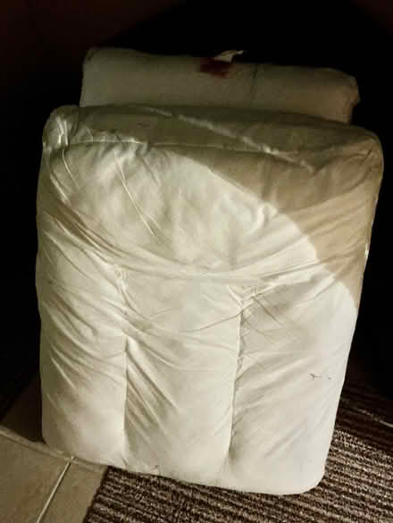 Photo of free Encore Sofa Cushion Pads x4 (Sprowston NR7) #1