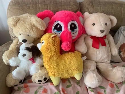 Photo of free Selection of large soft toys (Thorpe Marriot NR8) #1