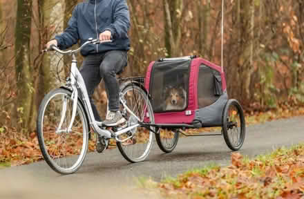 Photo of Old Bicycle Trailer (Chichester PO19) #1