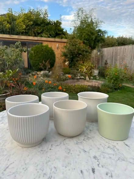 Photo of free Indoor flower pots (New Marston OX3) #1