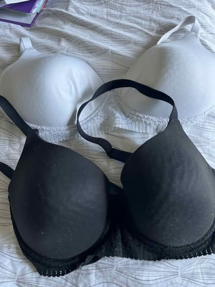 Photo of free Two bras 34C (Hampden Park BN22) #1