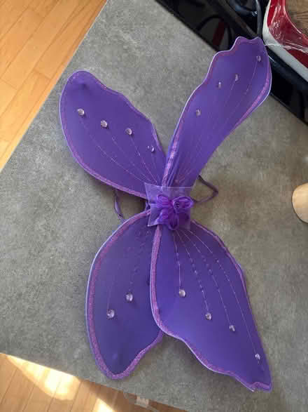 Photo of free Purple Butterfly or Fairy Wings (Providence Subdivision, Elgin) #1
