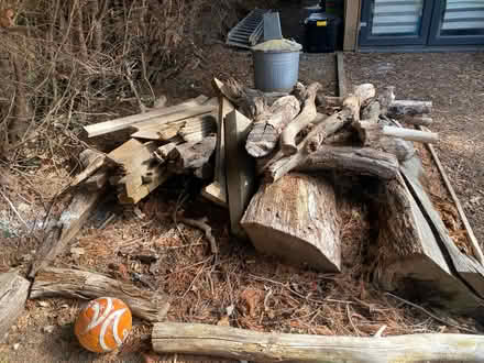 Photo of free Logs and Firewood (Burgess Hill RH15) #1
