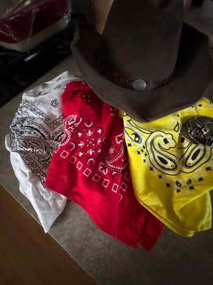 Photo of free Kid’s Cowboy Halloween Costume (Providence Subdivision, Elgin) #2