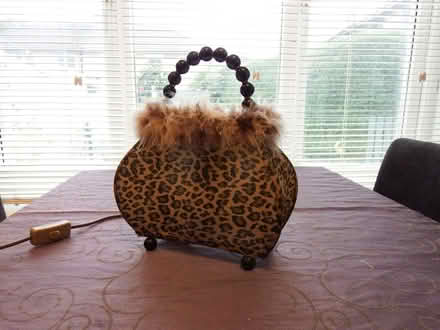 Photo of free Novelty Handbag Lamp (Vale LA1) #1