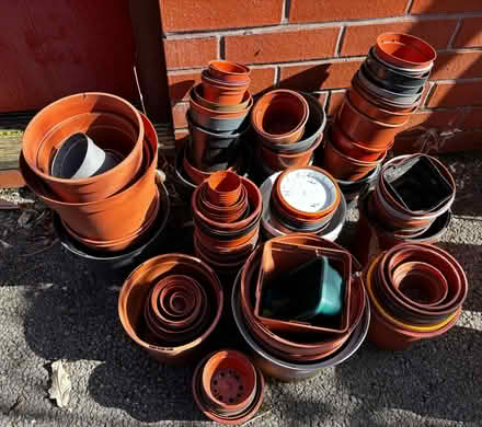 Photo of free Dozens of nursery plant pots (Alexandra Park M14) #1