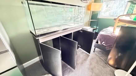 Photo of free Large fish tank on storage cupboard (Sharmans Cross B91) #1