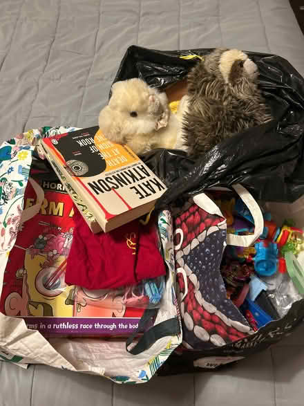 Photo of free Car Boot Sale Bundle (Wivenhoe CO7) #1
