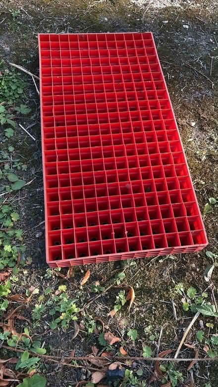 Photo of free Plastic plant trays 240 cells (South Derbyshire DE73) #1