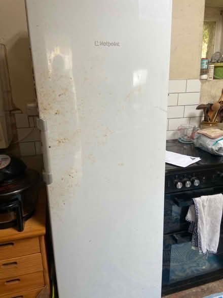 Photo of free Tall hotpoint freezer (Morvah nr Penzance TR20) #4