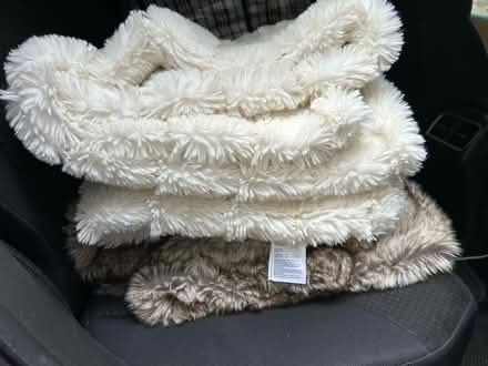 Photo of free Furry cushions and blankets (Herne Hill, SE24) #2