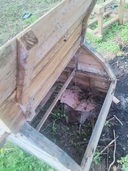Photo of free Pair of chicken coops (Ninfield TN33) #2