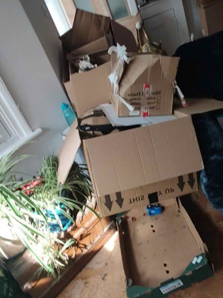 Photo of free Moving boxes, bubble wrap, etc (N17, Tottenham) #3