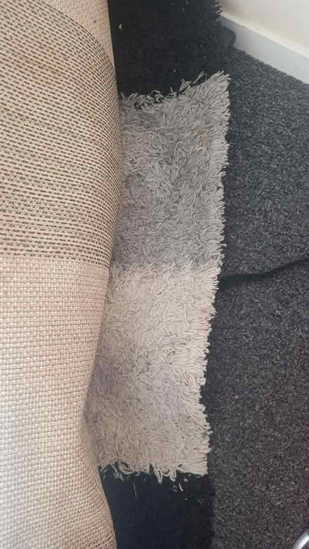 Photo of free Rug black n white (Cann Hall E11) #2