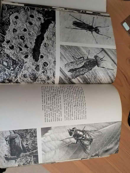Photo of free The Pictorial Encyclopedia of the Animal Kingdom (Cannon Park CV4) #3