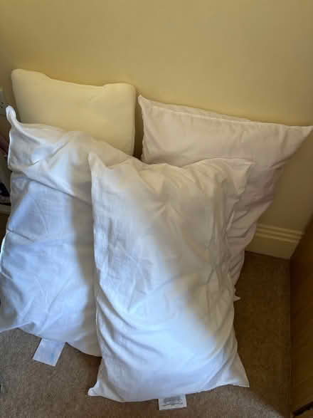 Photo of free Pillows and duvets (SE1 Old Kent Road) #1