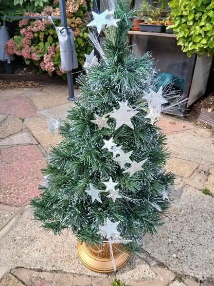 Photo of free Xmas tree (Langney BN23) #1