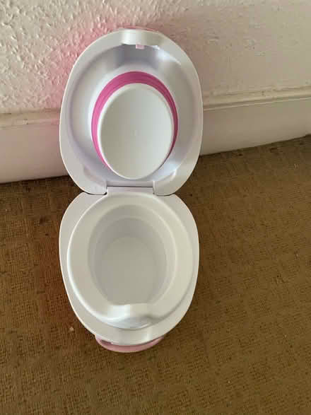 Photo of free Carry potty (Finsbury Park, N4) #3