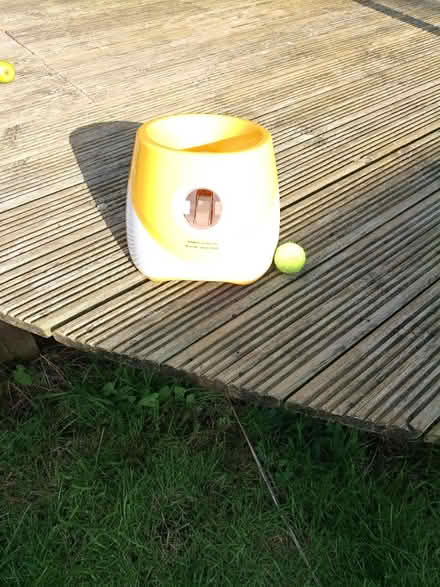 Photo of free Dog ball thrower (Barry) #1