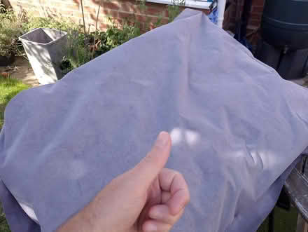 Photo of free Large kaikoo bed / pillow (Waterlooville PO8) #2