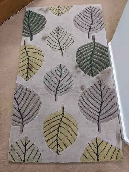 Photo of free Rug from Dunelm (EX4 1FA) #1
