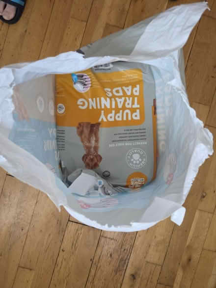 Photo of free Puppy training pads (Bt5) #3