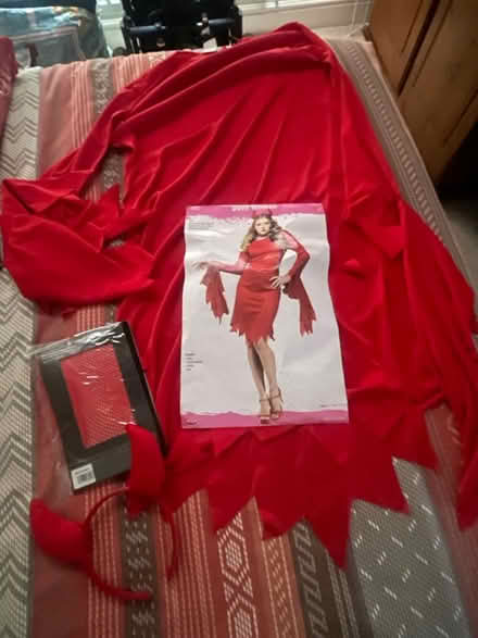 Photo of free Fancy dress (NE7 Heaton) #1