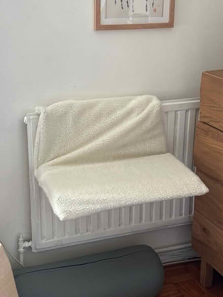 Photo of free hanging cat bed (Essex Road, Islington N1) #1