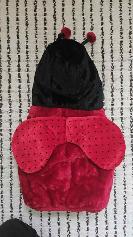 Photo of free Halloween costumes for baby (Flemington NJ) #2