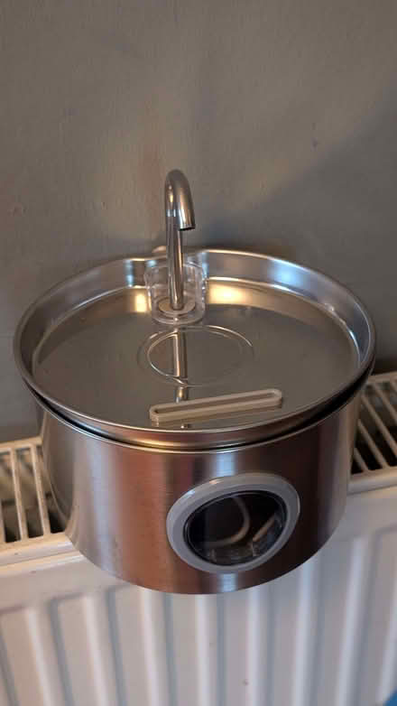Photo of free Water fountain for cats (Pollokshields G41) #1