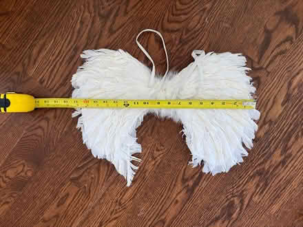 Photo of free White feather wings (Fresh Pond - Belmont) #2