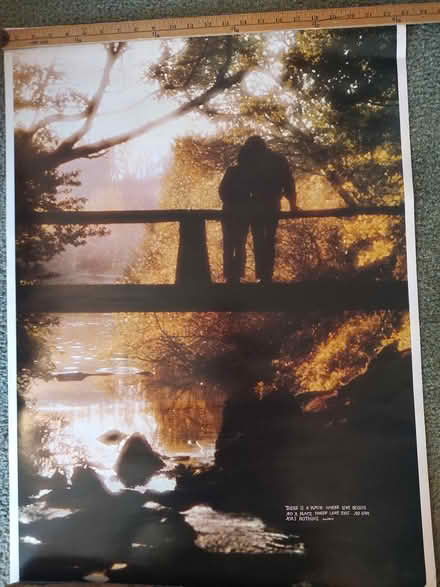 Photo of free Poster (Odenton) #1
