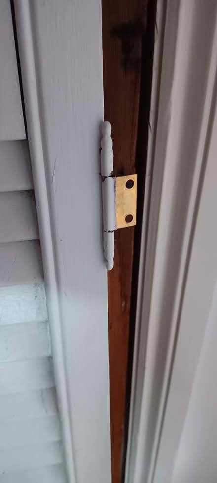 Photo of free Airing cupboard doors (Hereford- Whitecross) #2