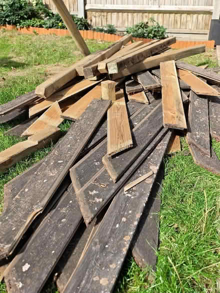 Photo of free Timber (Kenley CR8) #2