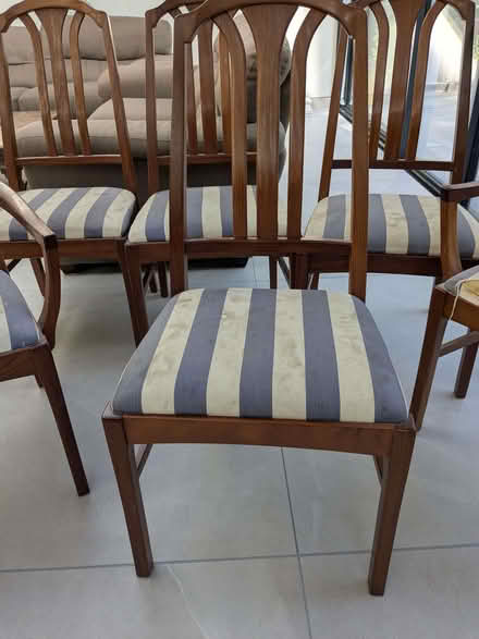 Photo of free 6 Dining room chairs (Chorleywood WD3) #3