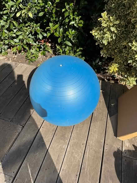 Photo of free Gym equipment (Hampton Hill TW12) #2