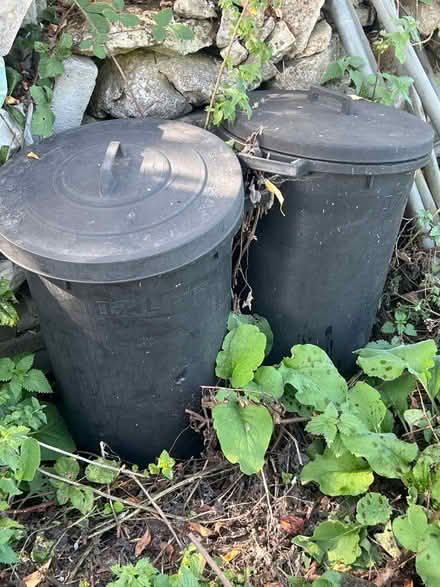 Photo of free Dustbins (Tandridge village oxted RH8) #1