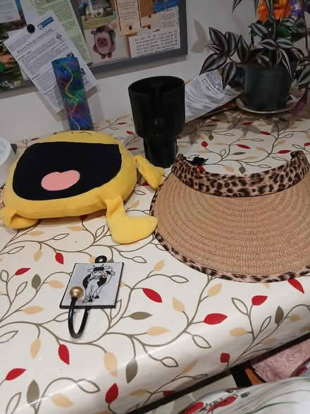 Photo of free Sun visor,soft toy, coat hook (Belmont SL6) #1