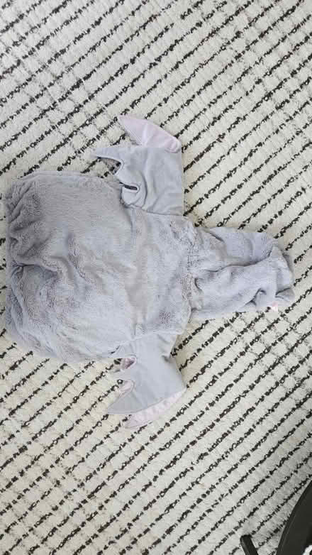 Photo of free Halloween costumes for baby (Flemington NJ) #4